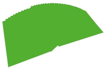 Image de Dessin couleur 100 feuilles vert clair