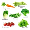 Image sur Les différentes familles de légumes