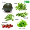 Image sur KIT DE GRAINES Légumes Bio