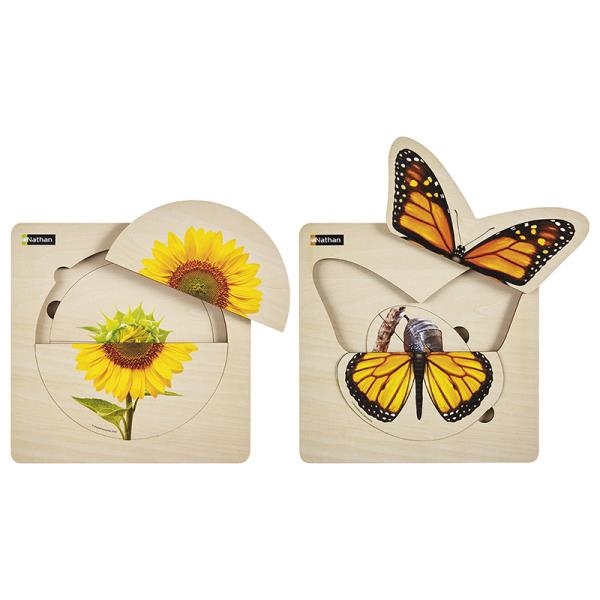 Image sur Puzzles Cycle de vie 2 - Papillon et tournesol