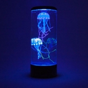 Image de Aquarium rond avec méduse