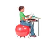 Image de Ballon ergonomique Sit'n Gym BRQ Ø 55 cm