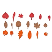 Image de Blocs motifs feuilles sensorielles