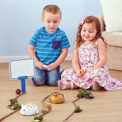 Image de la catégorie Codage & programmation