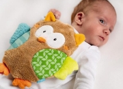 Image de Coussin Hibou