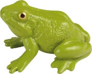 Image de Développement de la grenouille