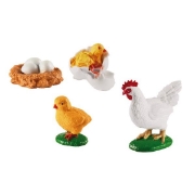 Image de Développement de la poule