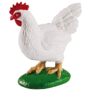 Image de Développement de la poule