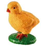 Image de Développement de la poule