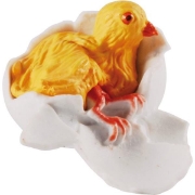 Image de Développement de la poule