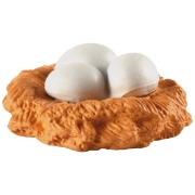 Image de Développement de la poule