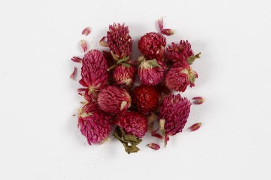 Image de Fleurs séchées, trèfle rouge