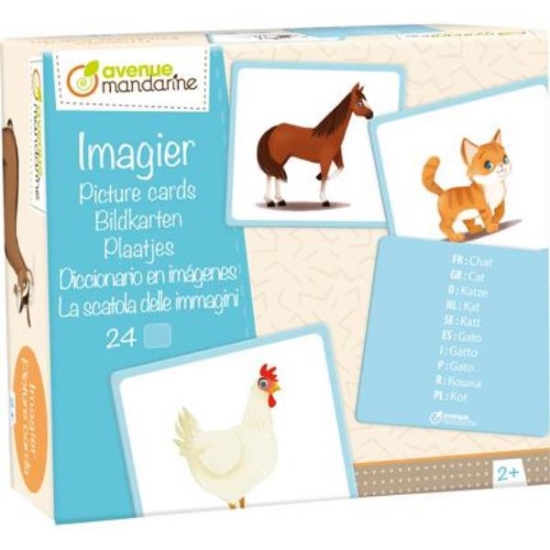 Image de Imagier animaux familiers