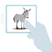 Image de Imagier animaux familiers