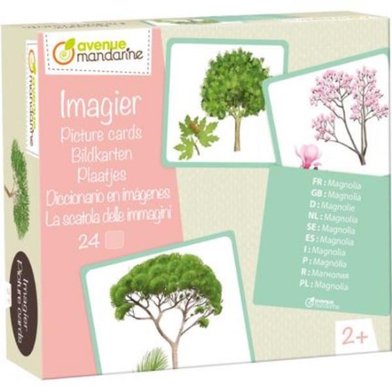Image de Imagier arbres