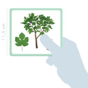 Image de Imagier arbres