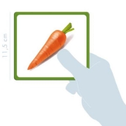 Image de Imagier légumes