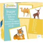 Image de Imagier animaux sauvages