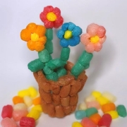 Image de IPOPOP, carton de 2000 pièces
