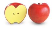 Image de Jeu magnétique de fractions les pommes