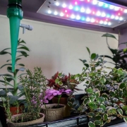 Image de Kit Serre Horticole - Cycle 1