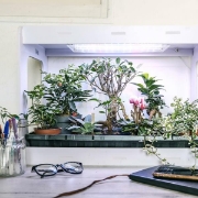 Image de Kit Serre Horticole - Cycle 1