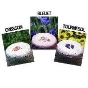 Image de Kit Serre Horticole - Cycle 2