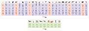 Image de Montessori - Frise alphabet