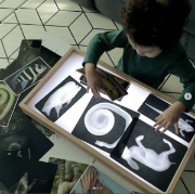 Image de Radiographies d'animaux