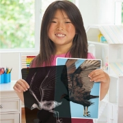 Image de Radiographies d'animaux
