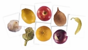 Image de Radiographies des plantes