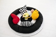 Image de Tapis contraste avec coussins, tapis avec 4 coussins