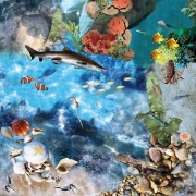 Image de Tapis de Jeu - Tuff Tray : L'Océan