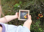 Image de Fenêtres sensorielles