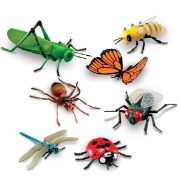 Image de Insectes géants