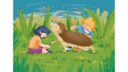 Image de Cartes Kamishibai - Le hérisson
