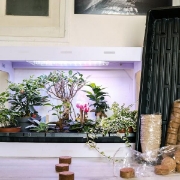 Image de Plateaux de culture interchangeables avec réserve d'eau, les 4