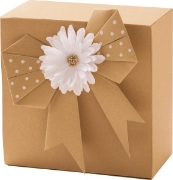 Image de Papier kraft brun A4 120 gr