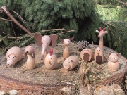 Image de Animaux en bois, ensemble de 10