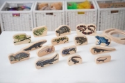 Image de Blocs de vie reptiles et amphibiens