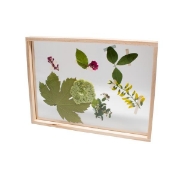 Image de Cadre en bois, mon herbier