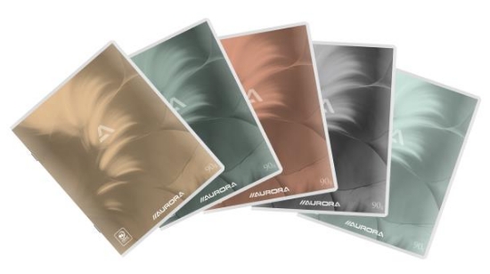 Image de Cahier plast. 21 x 16,5 cm 36 fts 3 lignes, 90 g, lot de 10