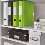 Image de Classeur à levier Active 180° Leitz WOW vert pomme