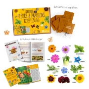 Image de Kit papillons et abeilles au jardin