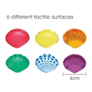 Image de Coquillages transparents, set de 72