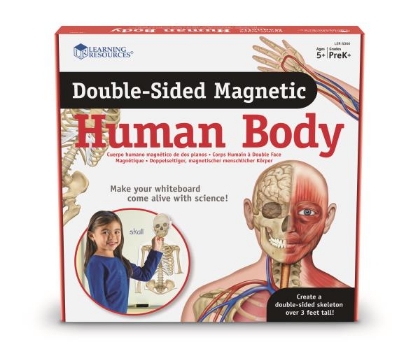 Image de la catégorie Le corps humain