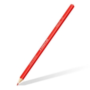 Image de Crayons de couleur Ergosoft, la pochette de 12