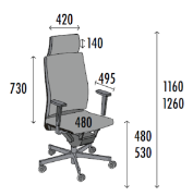 Image de Fauteuil de direction Chicago