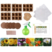 Image de KIT DE GRAINES Fleurs Bio