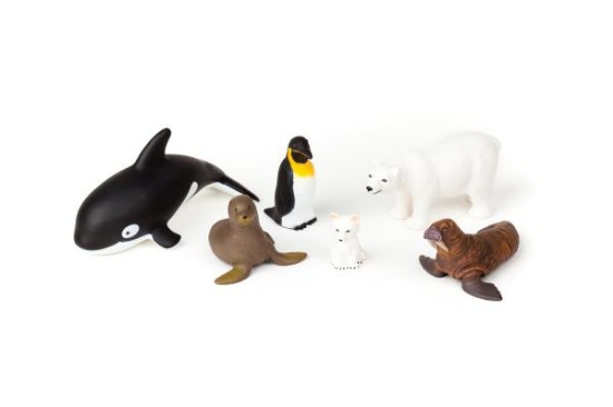 Image de Les animaux polaires, les 6